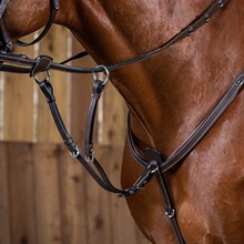 Dyon krótki martingal srebrne sprzączki